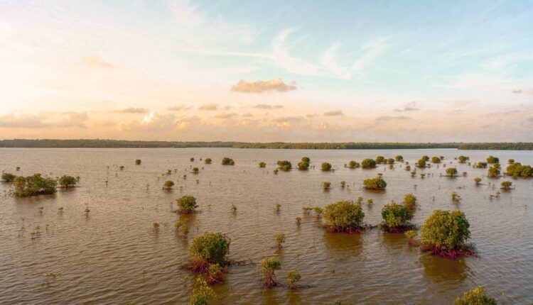 Flooded Area
